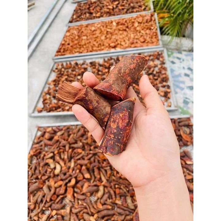 Rễ Cây Mú Từn Khô Nguyên Chất (Hỗ Trợ Sinh Lực Phái Mạnh)