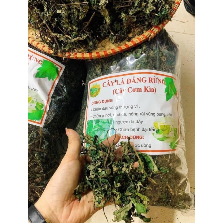 Lá Đắng, Lá Rau Rừng Khô Xanh Mướt Đẹp 500gr-1kg Khánh Ngân Tây Bắc