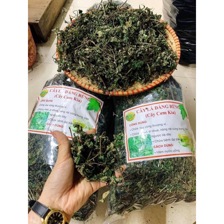 Lá Đắng, Lá Rau Rừng Khô Xanh Mướt Đẹp 500gr-1kg Khánh Ngân Tây Bắc