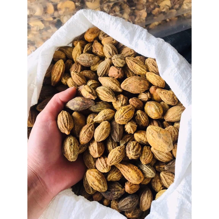 Quả kha tử khô 300g( To, Đều, Đẹp ), Quả chiêu liêu - Giảm ho, viêm họng, khàn tiếng