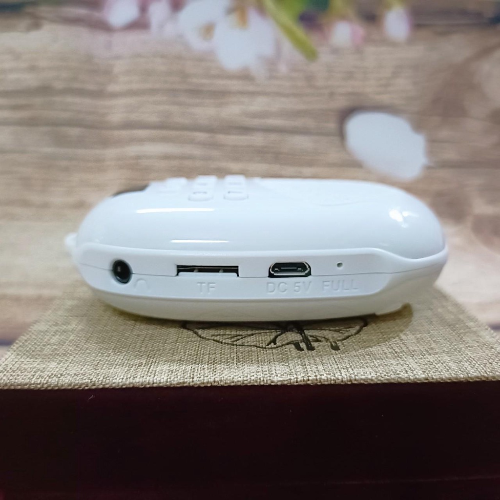 Máy nghe pháp Chiếc Lá Bồ Đề Tịnh Tông jsa03-led 41 bài niệm Phật tiếng Việt, có khe gắn thẻ nhớ