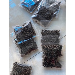 250k - 1250 Hạt Giống Đu Đủ Đực (Siêu Hoa)