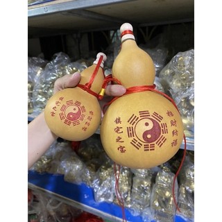 Quả Bầu Hồ lô Quả bầu thật treo phòng ngủ đầu giường vật phẩm phong thủy