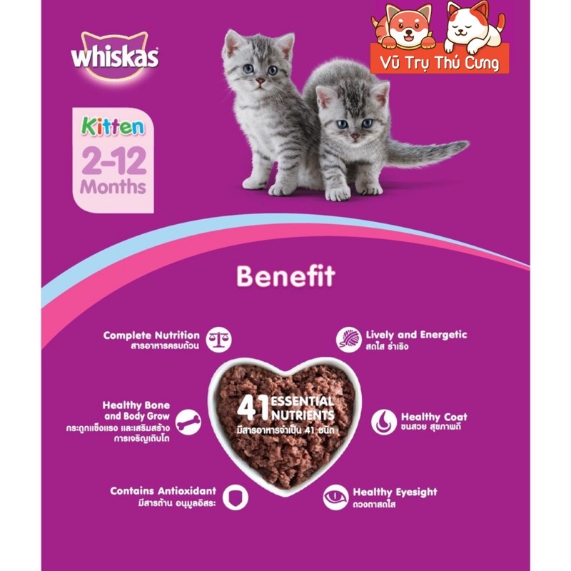 Combo Pate Whiskas cho Mèo con vị Cá thu 80g