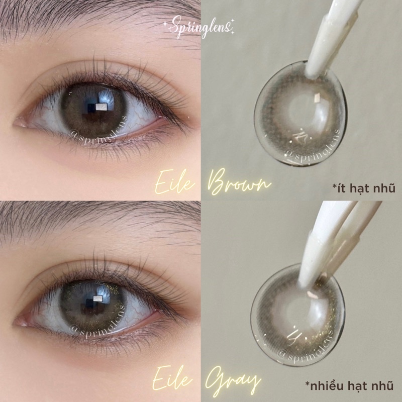 Kính áp tròng filter EILE BROWN (Eileen) nâu sữa nhũ nhẹ hiệu ứng có giãn 1 tháng | Spring Lens
