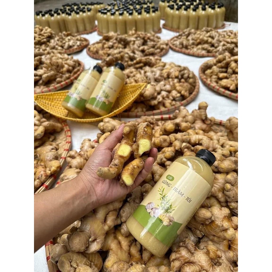 Nước Cốt Gừng Tươi Tràm Tỏi - Tắm Bé An Toàn
