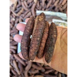 CHUỐI HẠT RỪNG  GIA LAI loại 1( bì hút chân không)