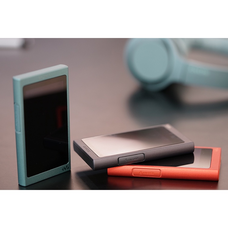 SONY NW-A45 16GB（Amazon.com: Sony NW-A45/L Walkman with Hi