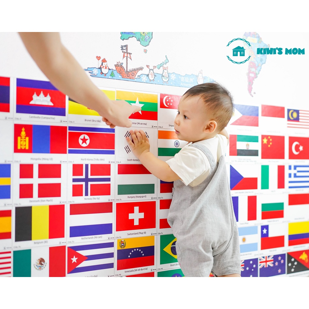 Decal Cờ KIWI'S MOM - 4 lớp cao cấp chống nước