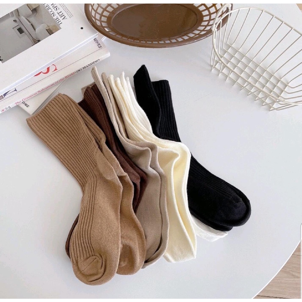 Tất Vớ Cổ Cao Camel Gân Trơn Nam Nữ Màu Horizon Set Camel Kem Sữa Hàn Quốc Tất Thể Thao Basic