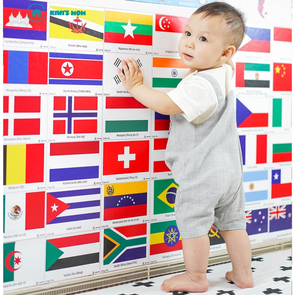 Decal Cờ KIWI'S MOM - 4 lớp cao cấp chống nước