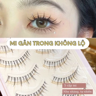 Lông mi giả gân trong tự nhiên phong cách búp bê, mi giả giúp mắt to tròn lung linh A07