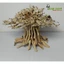 Cây gỗ Lũa Bonsai dáng cổ thụ [Phần thân và gốc có nhiều rể]