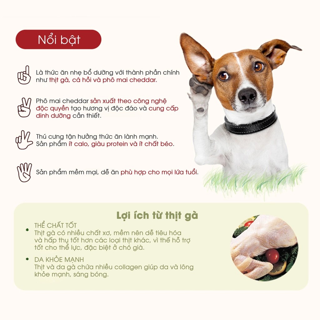 Bánh Thưởng Cho Chó Hỗn Hợp Phô mai, Cá hồi, Rau củ Bowwow Hàn Quốc