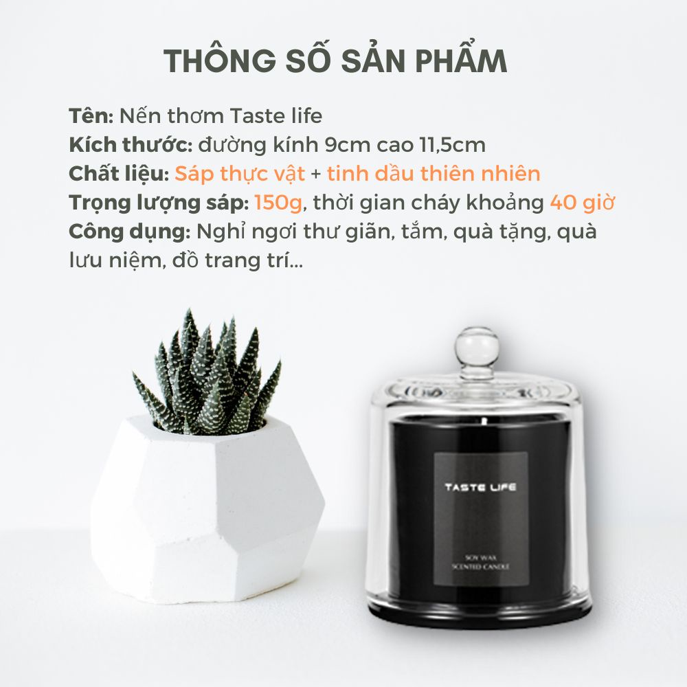 Nến thơm phòng Taste Life hàng cao cấp xuất khẩu loại 1 nến thơm decor giúp làm thơm phòng thư giãn
