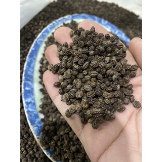 65 Hạt giống đu đủ đực siêu hoa chỉ 20k