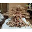 Cây gỗ Lũa Bonsai dáng cổ thụ [Phần thân và gốc có nhiều rể]