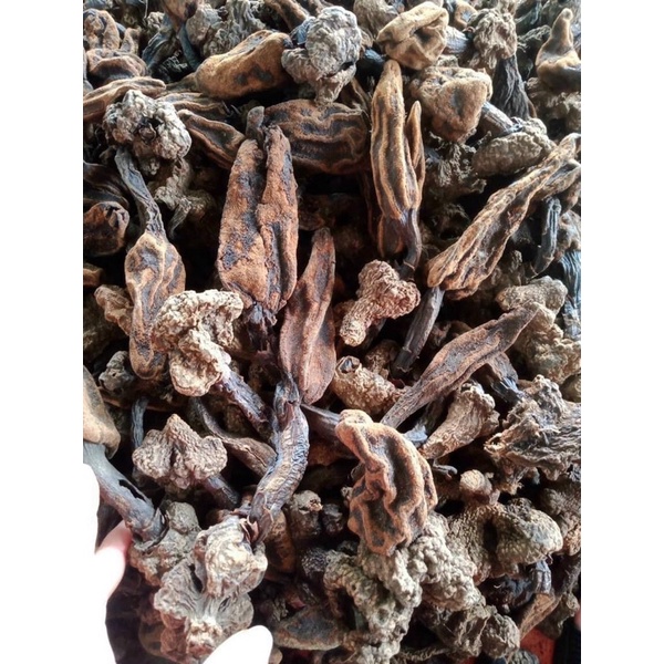 Nấm ngọc cẩu( khô nguyên búp to ,thơm,sạch) chuẩn rừng Tây Bắc 500gr-1kg