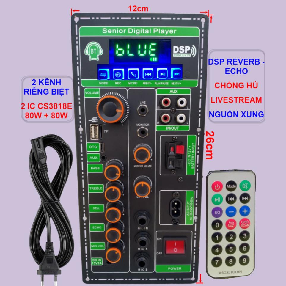 Mạch loa kéo 2 kênh Livestream DSP Reverb – Echo Chống hú 2 IC CS3818E ...