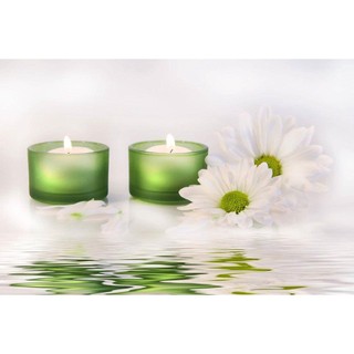 Áo Lót Không Gọng Đệm Mỏng Cao Cấp và Sang Trọng A98 (Size 36, 38, 40, 42)