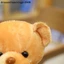 Gấu Sang Trọng Đồ Chơi Nhồi Bông Gấu Mềm Quà Tặng Đám Cưới Cho Bé Quà Tặng Trẻ Em [zkm]