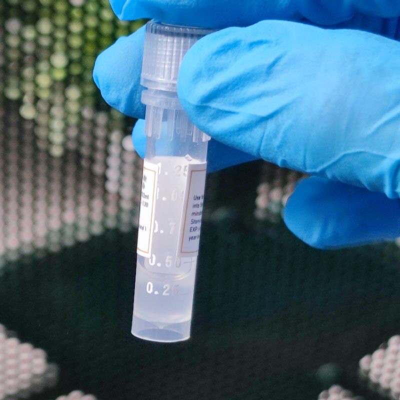 Thrombin giúp hoạt hóa PRP nhanh, hoạt hoá tiểu cầu