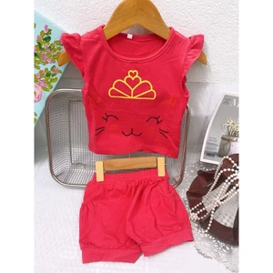 bộ quần áo sơ sinh cho bé gái chất cotton hàng công ty cực kì xịn xò, bộ cotton cho bé sơ sinh 3-13kg