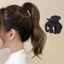 YT4 Kẹp Tóc Đuôi Ngựa Cố Định Hiện Vật Tính Khí Cá Mập Kẹp Mũ HairClips Mũ Đội Đầu Nữ Phụ Kiện Tóc