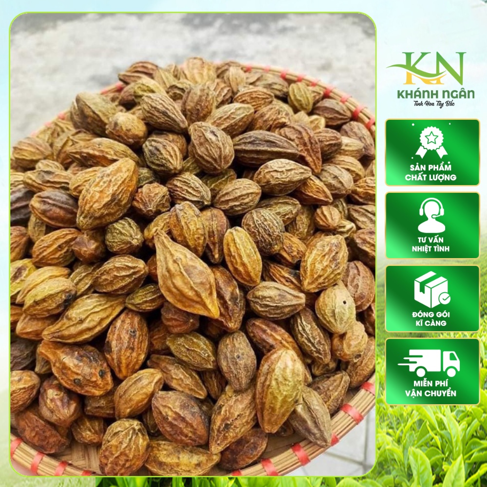 Quả kha tử khô 300g( To, Đều, Đẹp ), Quả chiêu liêu - Giảm ho, viêm họng, khàn tiếng