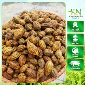 Quả kha tử khô 300g( To, Đều, Đẹp ), Quả chiêu liêu - Giảm ho, viêm họng, khàn tiếng