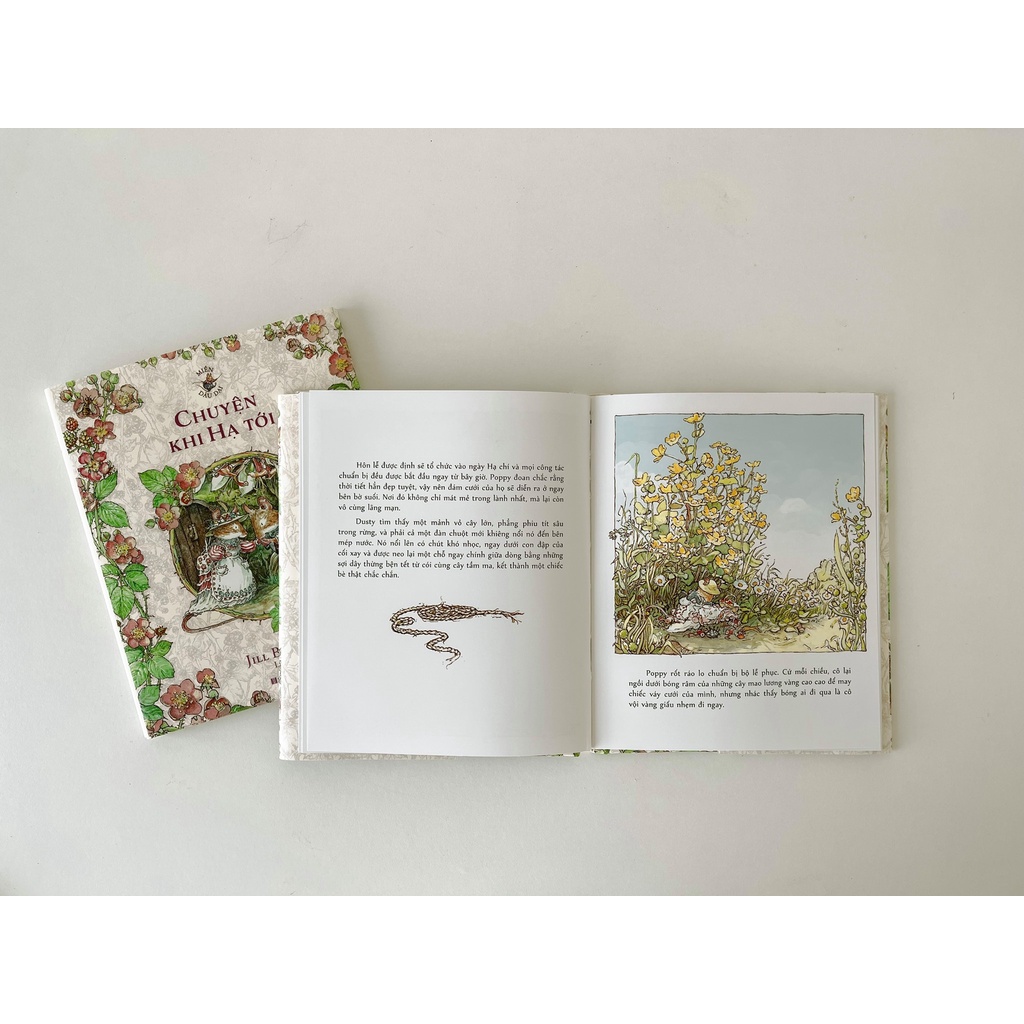 Ảnh Bộ sách Miền Dâu Dại - Bộ 4 cuốn - Crabit Kidbooks 3