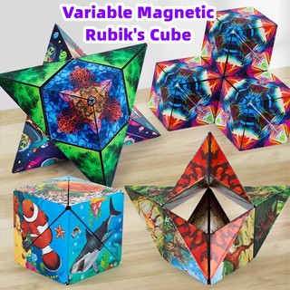 Đồ Chơi Khối Rubik Ma Thuật 3D Từ Tính Hình Học / Khủng Long / Đại Dương / Không Gian Rèn Luyện Trí Não Cho Bé