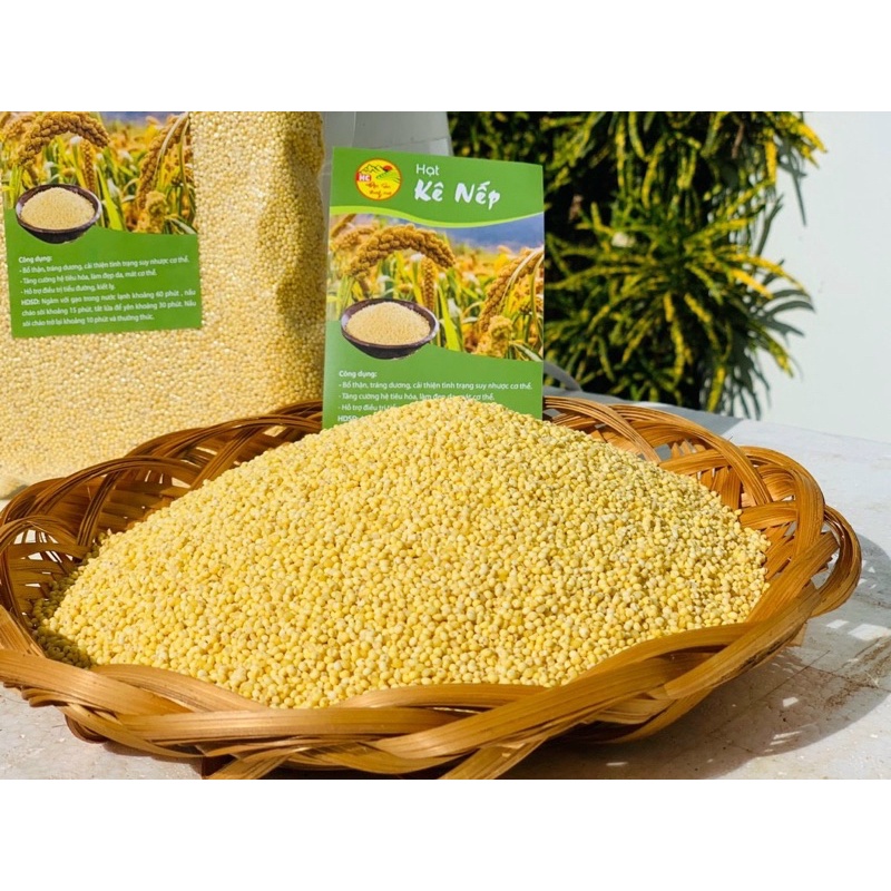 Hạt kê nếp vàng Nghệ An bao dẻo, đã tách vỏ, hút chân không cẩn thận