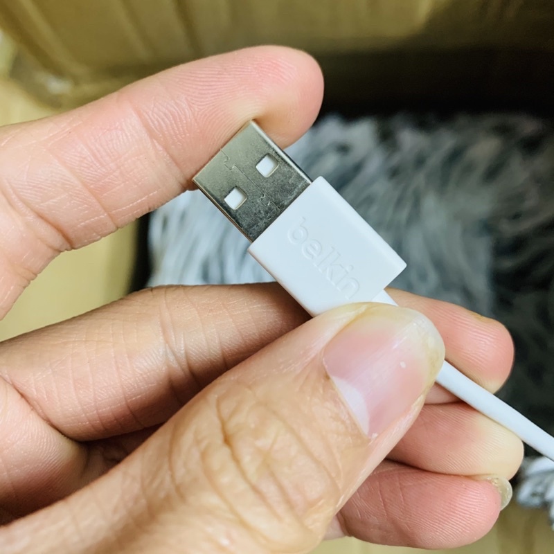 cáp belkin USB-Type C new zin