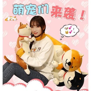 PLUSHIE - 6 mẫu Gối ôm mẫu CÚN BÔNG, MÈO BÔNG 60cm 90cm 120cm 🥰 thú bông hàng có sẵn 🌻🌻