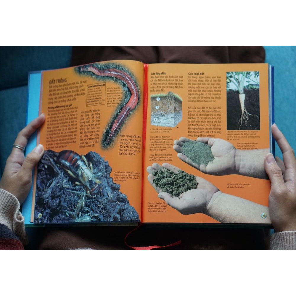 Ảnh Sách Bách Khoa Toàn Thư Về Địa Lý - Kèm Atlas Thế Giới - Geography Encyclopedia (Đinh Tị) 2