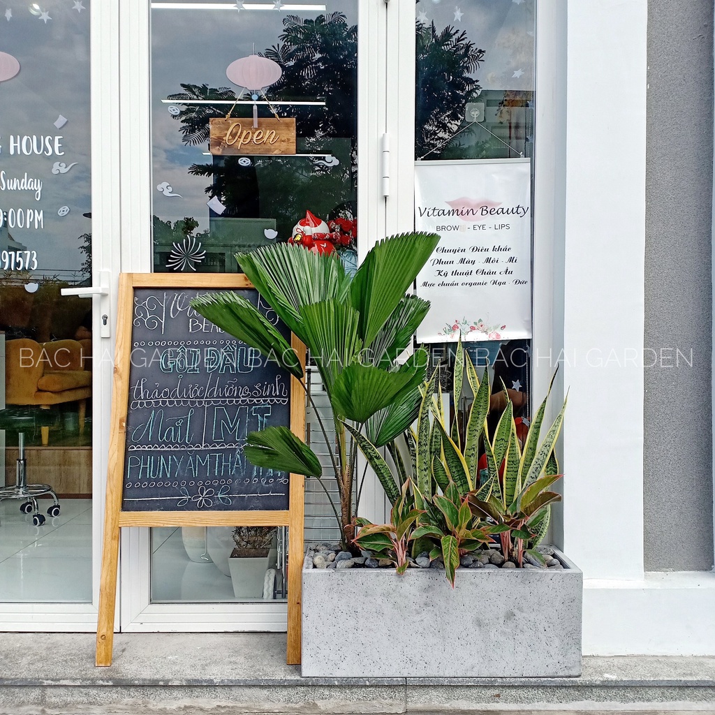 CHẬU TRỒNG CÂY XI MĂNG CHỮ NHẬT DÀI XÁM – ĐEN
