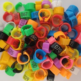Set 100 / 50 Vòng Kẹp Chân Chim Bồ Câu 8mm