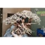 Cây gỗ Lũa Bonsai dáng cổ thụ [Phần thân và gốc có nhiều rể]