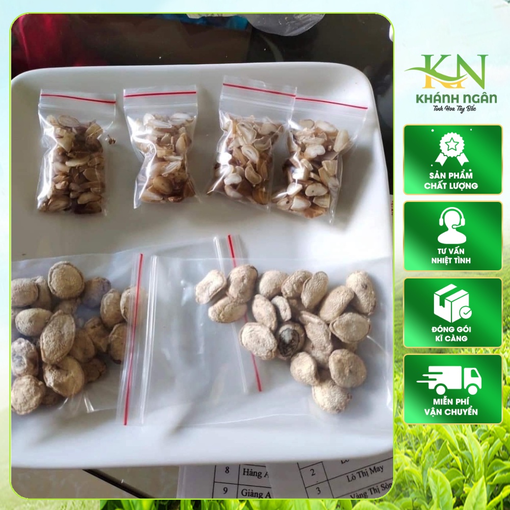 Hạt sành rừng Tây Bắc – Hạt sang khô loại đẹp – Đặc sản núi rừng