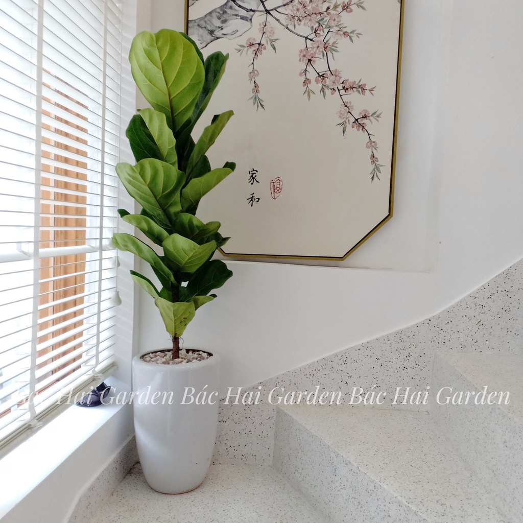 CHẬU SỨ TRỒNG CÂY CHẤT LIỆU MEN SỨ TRƠN TRẮNG 3 size phù hợp trồng cây trong nhà, ngoài trời bền đẹp, không bám bụi