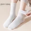 Tất vớ nữ nam cao cổ dài trắng dễ thương hàn quốc đẹp AAA iLita chân thấp nhún đủ màu trắng, đen, xám