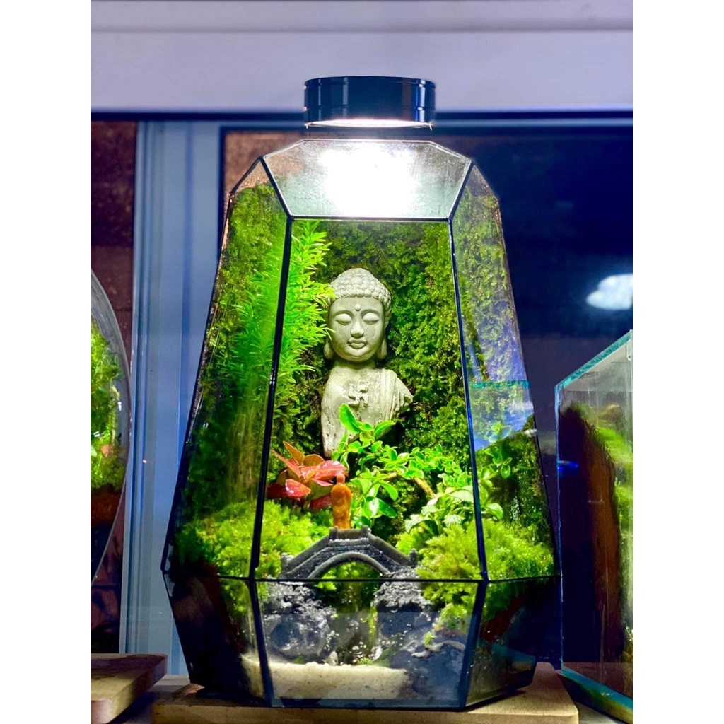 Diện Phật trang trí tiểu cảnh, bán cạn terarium