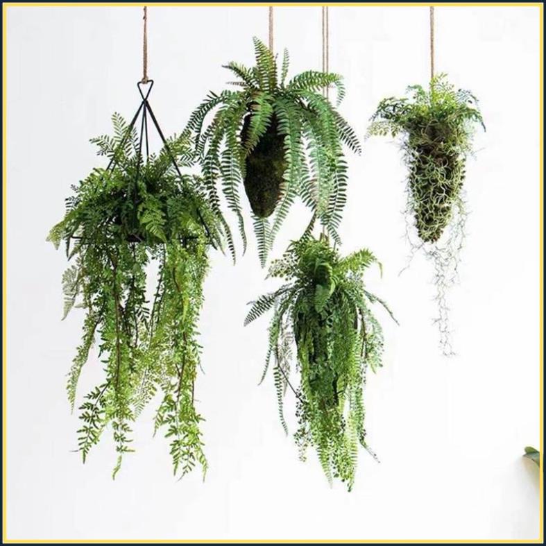 Cành cây rủ, cành rủ - Cành cây giả Decor juminhome | Shopee Việt Nam
