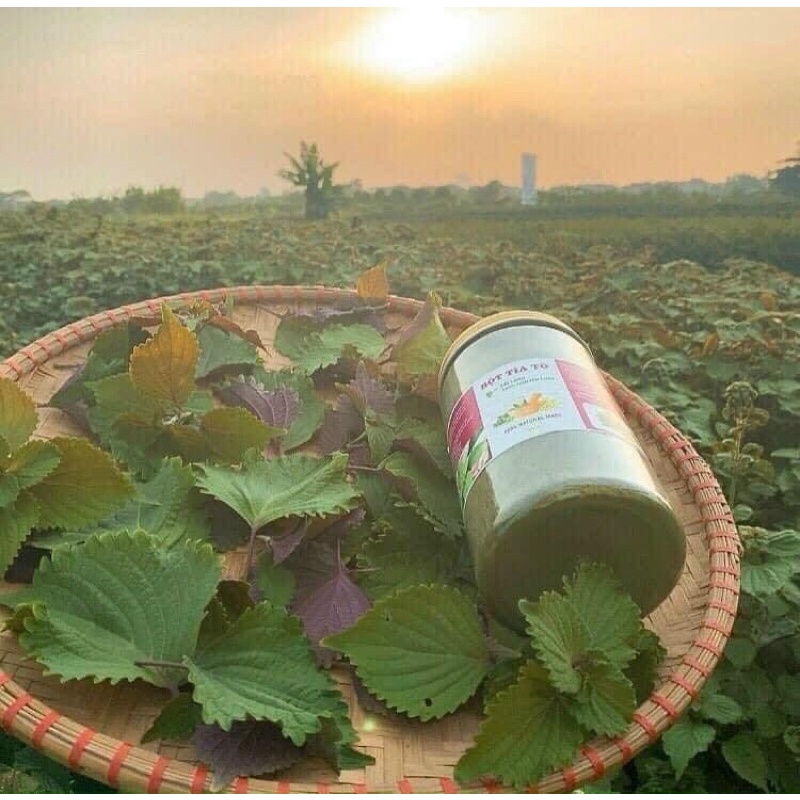 Bột Tía tô nguyên chất sấy lạnh - Hộp 500gr