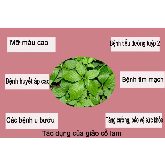 Xạ Đen Sấy Khô Thượng Hạng a(lá xạ đen khô hàng xanh ,sạch,thơm,không vụn)1kg
