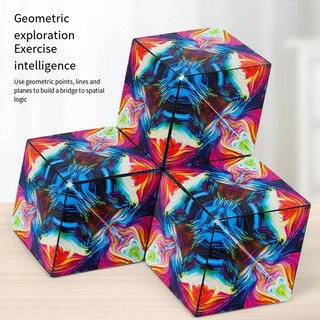 Đồ Chơi Khối Rubik Ma Thuật 3D Từ Tính Hình Học / Khủng Long / Đại Dương / Không Gian Rèn Luyện Trí Não Cho Bé