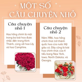 Cành hoa Hồng Nhung giả size lớn cành dài 70cm - Hoa cao cấp