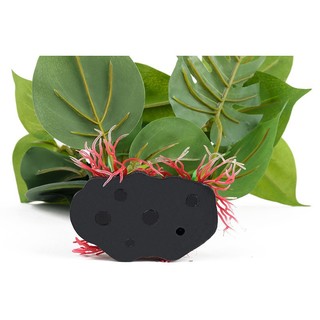 1 Cây Cỏ Nhân Tạo Trang Trí Bể Cá