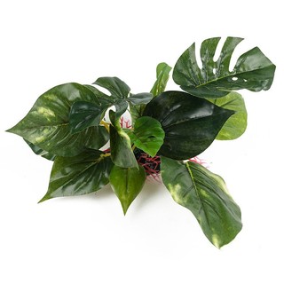 1 Cây Cỏ Nhân Tạo Trang Trí Bể Cá
